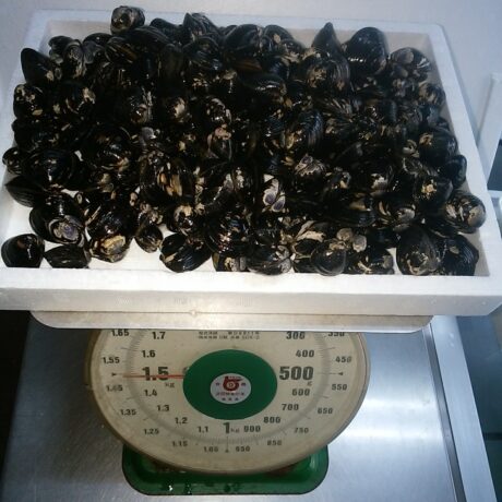 湖山池産しじみ 通販 - かやの鮮魚店