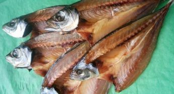 ノドグロ、タイ、アジ、カレイ、干物が美味しい！