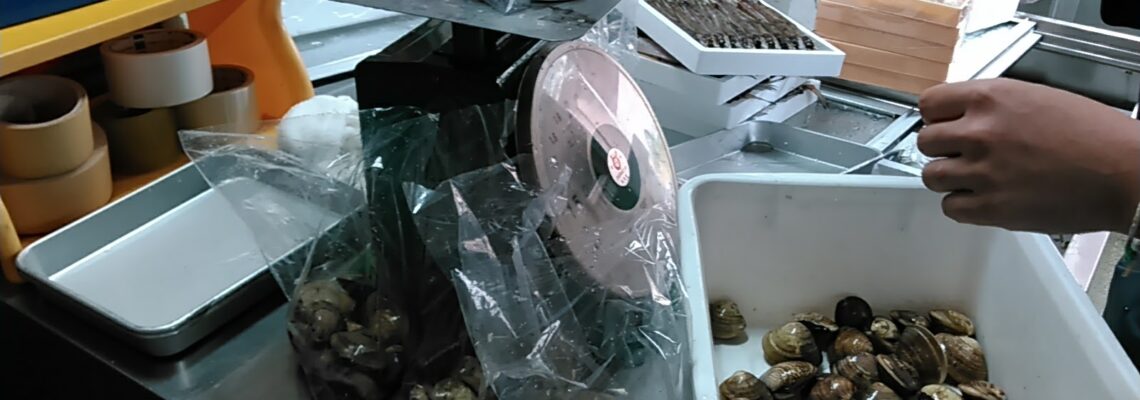 ハマグリ小分け作業