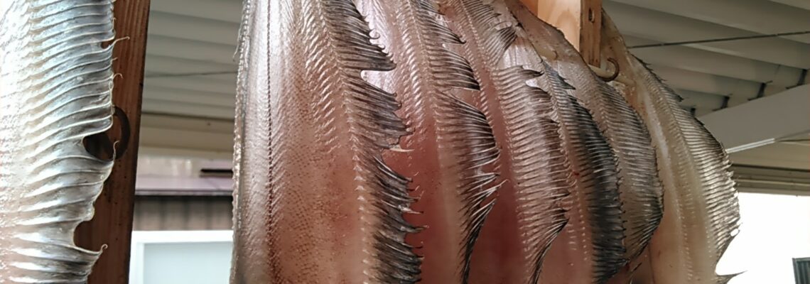 べランスガレイの干物