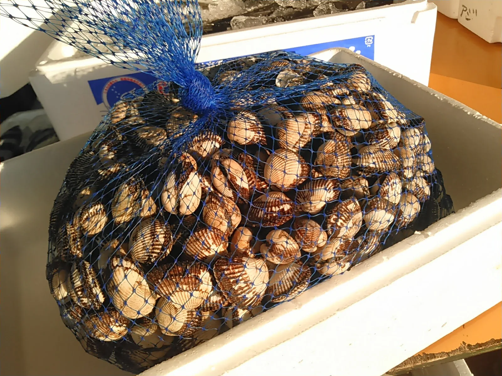 サルボウ貝 赤貝 の季節が来た 煮付け 炊き込みご飯で 鮮魚通販