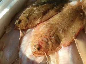 ガンゾウガレイ