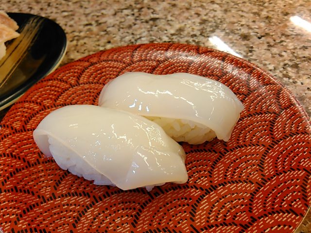 白イカ ケンサキイカ １杯 刺身でどうぞ かやの鮮魚店