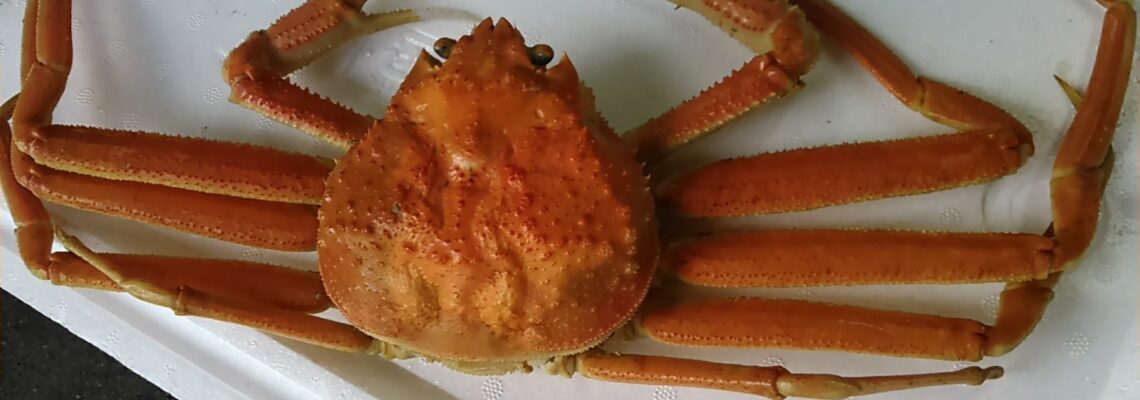 ベニズワイガニ