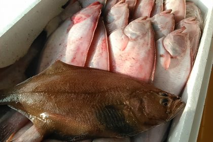 タナカゲンゲ ババア の季節 妖怪の街の魚屋より 境港鮮魚通販