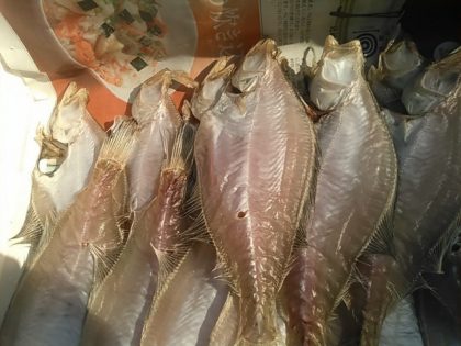 エテカレイ一夜干し