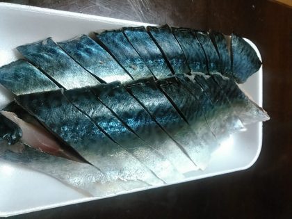 鯖 昆布締め