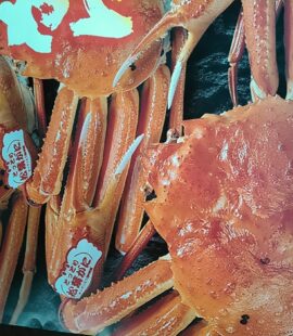 食のみやこ鳥取県 松葉ガニ