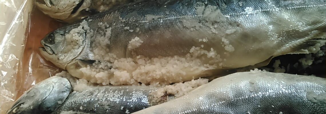 サーモンの塩