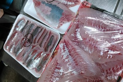 鮮魚販売 タイ・アジ・ハマチのフィーレ