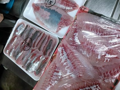 鮮魚販売 タイ・アジ・ハマチのフィーレ