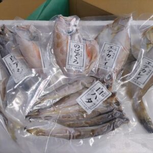 干物セット（４種）