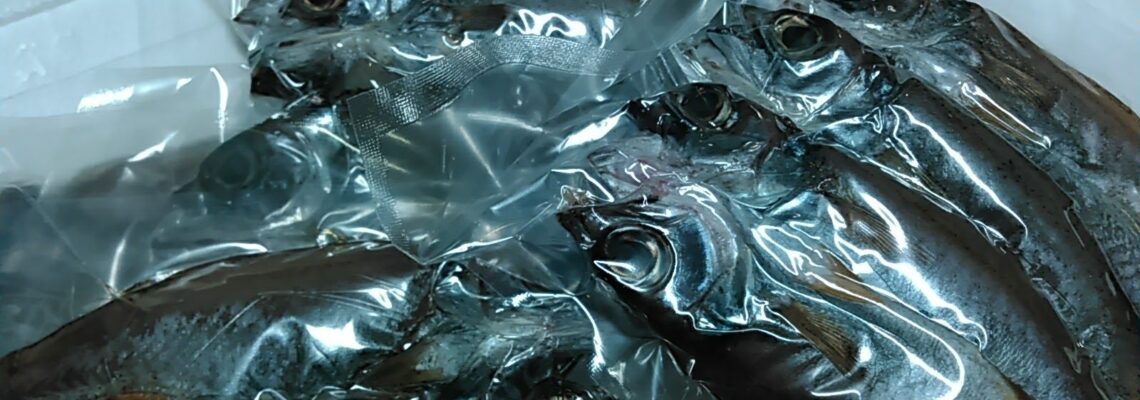 クロムツの干物