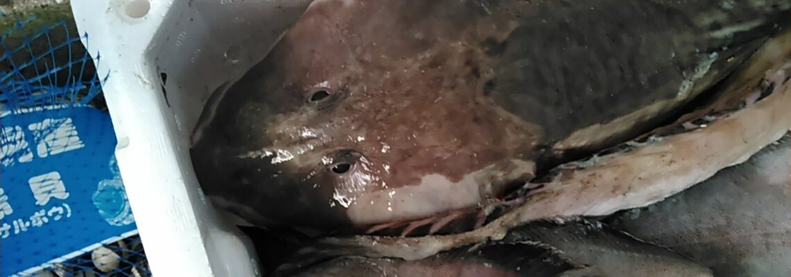 ババア （ タナカゲンゲ ）