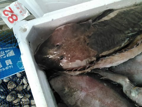 ババア かやの鮮魚店