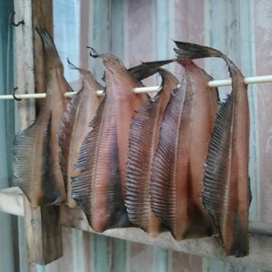 べランスガレイ 干物