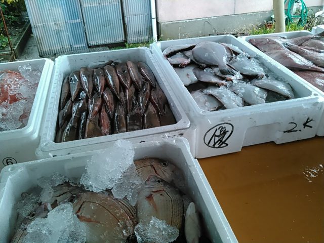 移動販売鮮魚店の魚