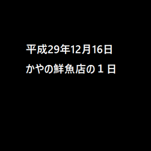 平成29年12月16日 かやの鮮魚店の１日