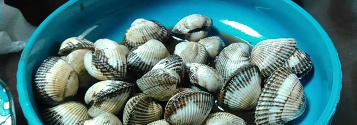 サルボウ貝 煮付け