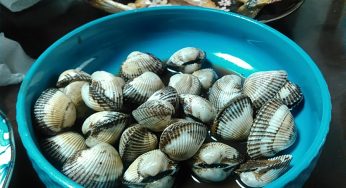 赤貝（サルボウ）煮付け、ピクルス、ブリ大根を頂きました／正月料理編
