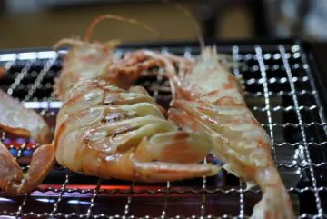 オニエビ ( イバラモエビ ) 生 300g 境港産 / 刺身 塩焼きにどうぞ - かやの鮮魚店