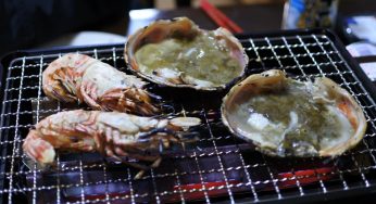 松葉ガニ を焼きガニで楽しむ！「イワタニ 炉ばた焼器 炙りや」が便利！