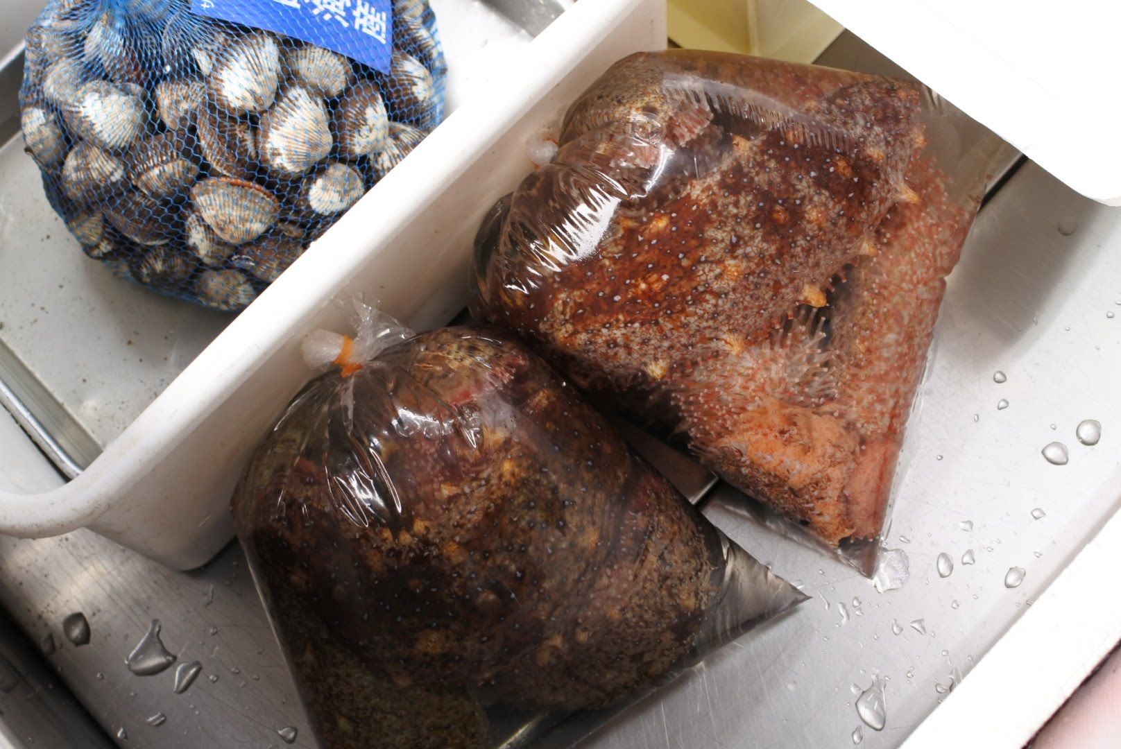赤ナマコ が新鮮 ナマコ酢でどうぞ 通販してます 境港かやの鮮魚店