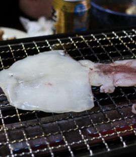 魚介類 炙り焼き 白いか 干物
