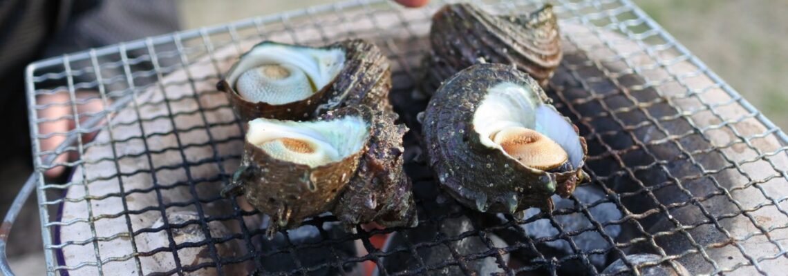 サザエ BBQ 炭火焼き
