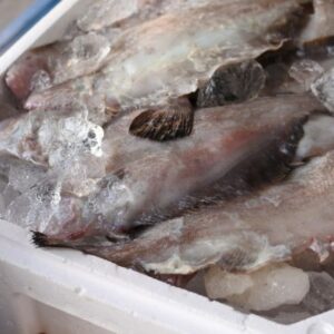 ベランスガレイ