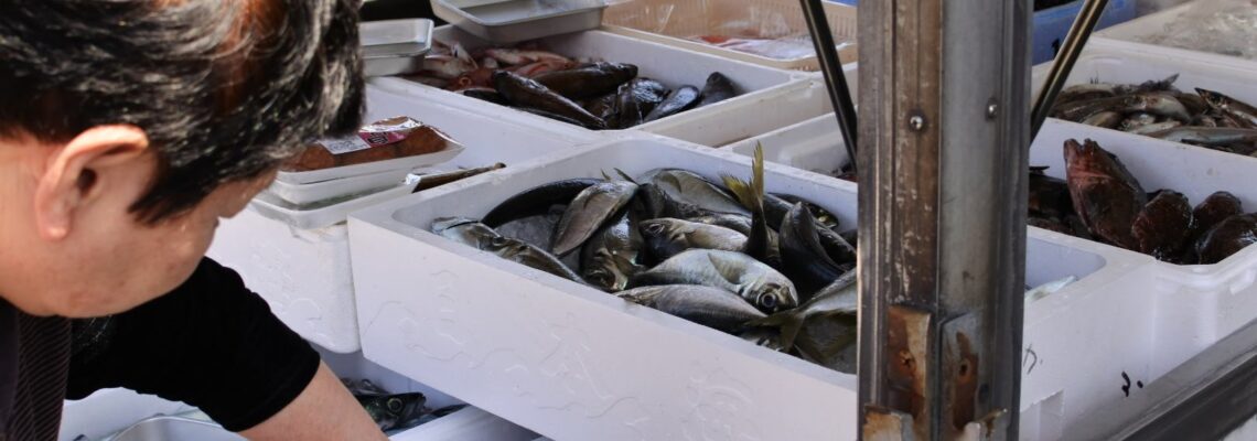 魚介類 移動販売