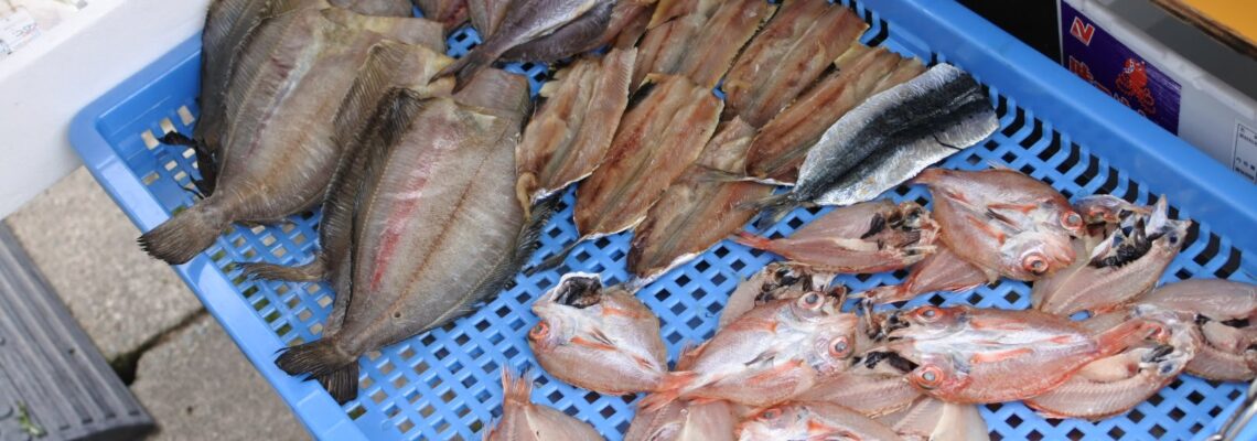 ノドグロ べランス イワシ イサキ 干物