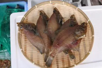 エテカレイ干物