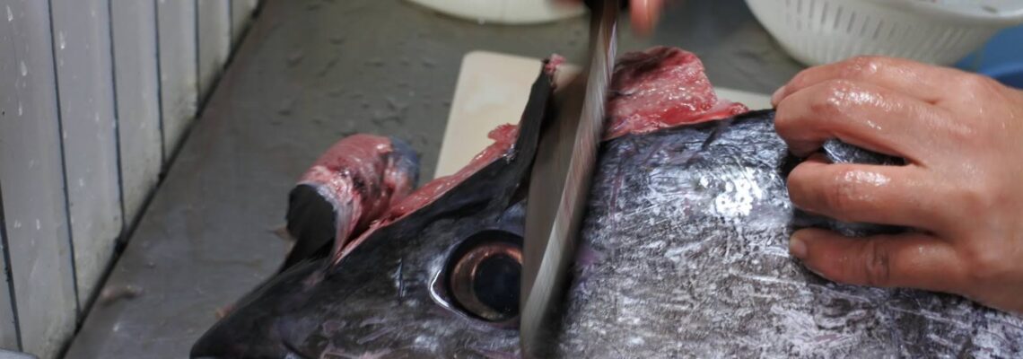 境港産マグロ ツラミ