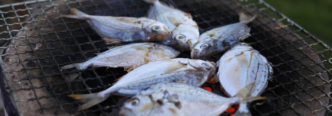 エノハ ヒイラギ 炭火焼