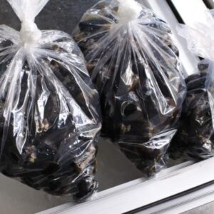 湖山池 ヤマトしじみ