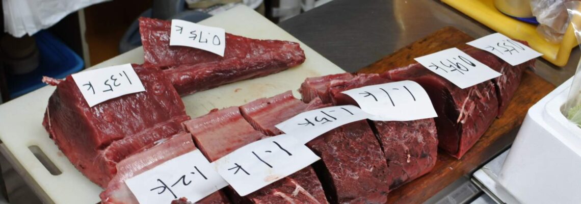 境港産本マグロ