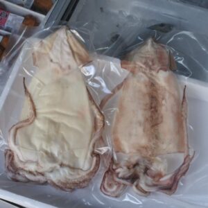 スルメイカ干物