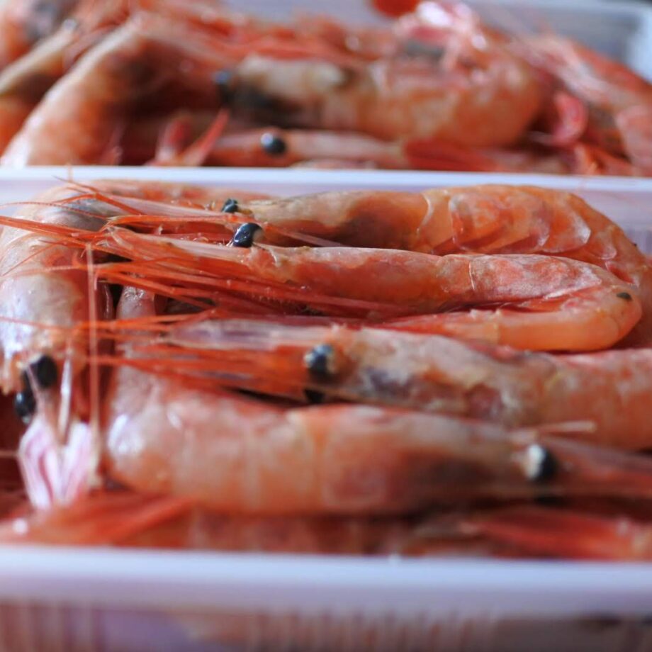 甘エビ ( ホッコクアカエビ )冷凍 刺身でどうぞ! - かやの鮮魚店