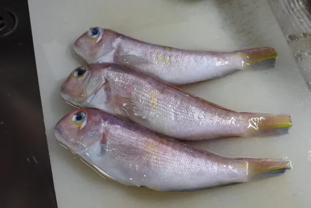 冷凍】境港産 甘鯛 （ アマダイ ） 一夜干し 1枚入 - かやの鮮魚店