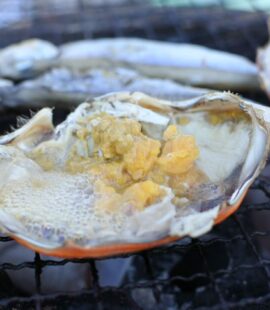 焼きガニ 渡り蟹 ヤシャモ