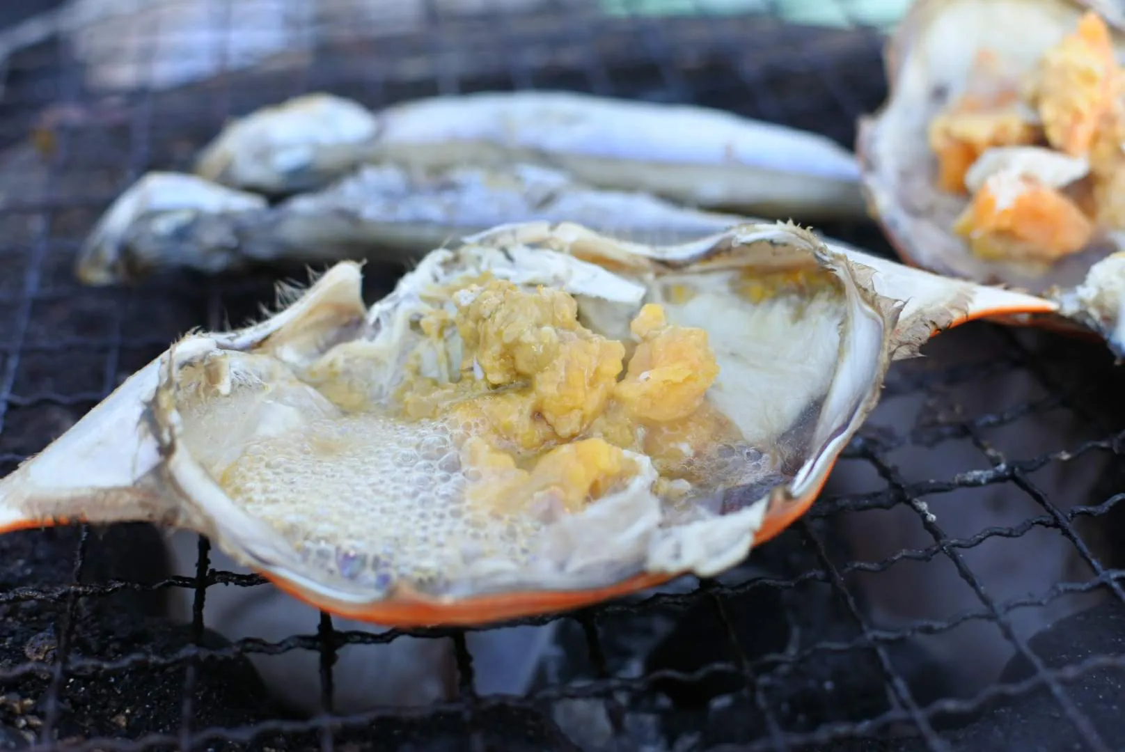 渡り蟹 を焼きガニ で味わう さかな屋の休日 かやの鮮魚店