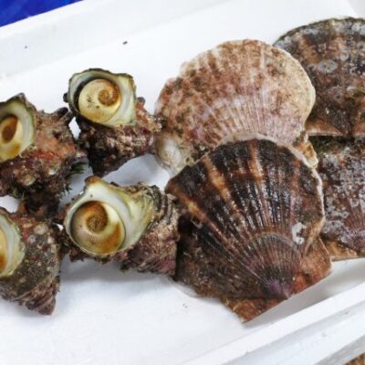 シーフードBBQセット