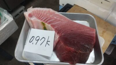 境港産黒マグロ ブロック