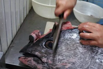 まぐろのあたま 通販生活®マグロのあたま｜【公式】カタログハウスの通販サイト