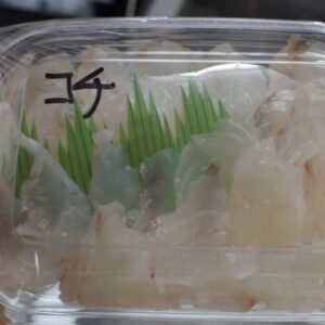真コチのお刺身