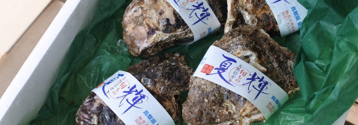 岩ガキ 「夏輝（なつき）」