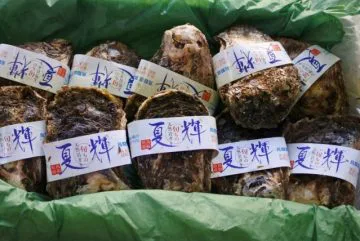 岩ガキ 夏輝