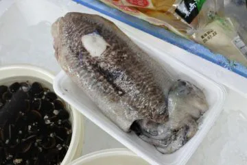 境港産コウイカ