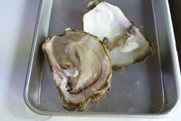 岩ガキ